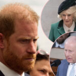 Prince Harry 'Extremely Disappointed' In Dad King Charles After Getting Blown Off During US Visit -- But Why Queen Camilla's The Real Problem!