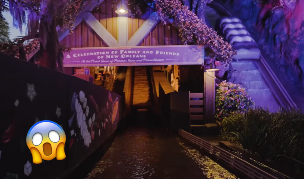 Boy PLUMMETS Down 50-Foot Disneyland Waterfall After Getting Out Of Tiana's Bayou Adventure Log -- HORRIFYING VIDEO