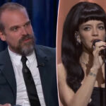 David Harbour Finally Speaks Out On Ex Lily Allen's Savage West End Girl Album: 'Stories Are Complex'