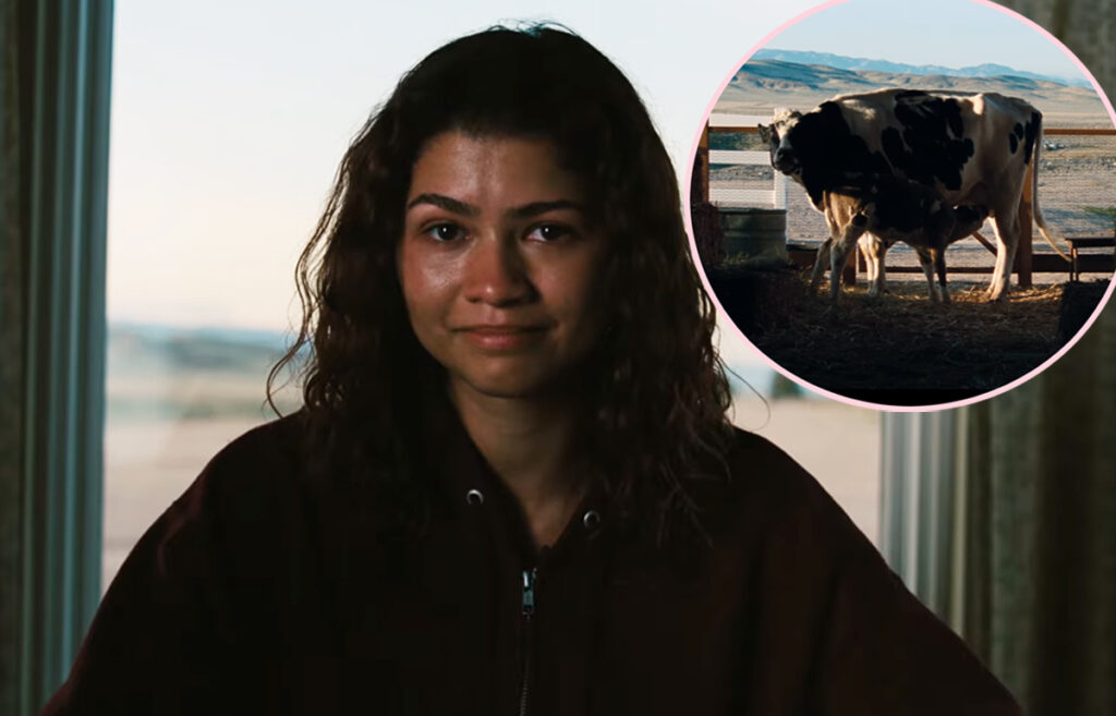Rue Lives! The Euphoria Series Finale Theory That Will Make You Bawl Your Eyes Out!
