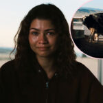 Rue Lives! The Euphoria Series Finale Theory That Will Make You Bawl Your Eyes Out!