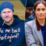 Prince Harry's Heart Is Calling Him Home -- But What Meghan Markle Wants For Their Future Is 'Very Different'!