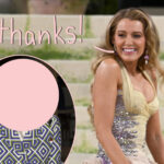 The VERY Unlikely Celeb Plotting Blake Lively's Hollywood Comeback!