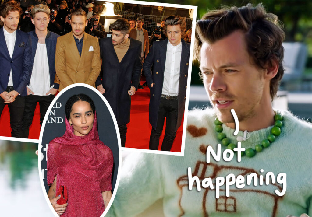 Harry Styles' Wedding WON'T Be A One Direction Reunion -- Here's Why!
