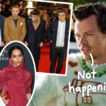 Harry Styles' Wedding WON'T Be A One Direction Reunion -- Here's Why!