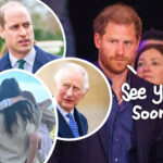 Prince Harry Hoping To Bring Meghan Markle & Kids To UK Next Month -- How The Royals Are Reacting!