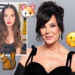 Shots Fired! Janice Dickinson DISSES Kris Jenner's Facelift, Says She Looks Like A Gerbil Now!