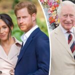 King Charles Reportedly Offering WHAT To Prince Harry & Meghan Markle For UK Return Visit?!
