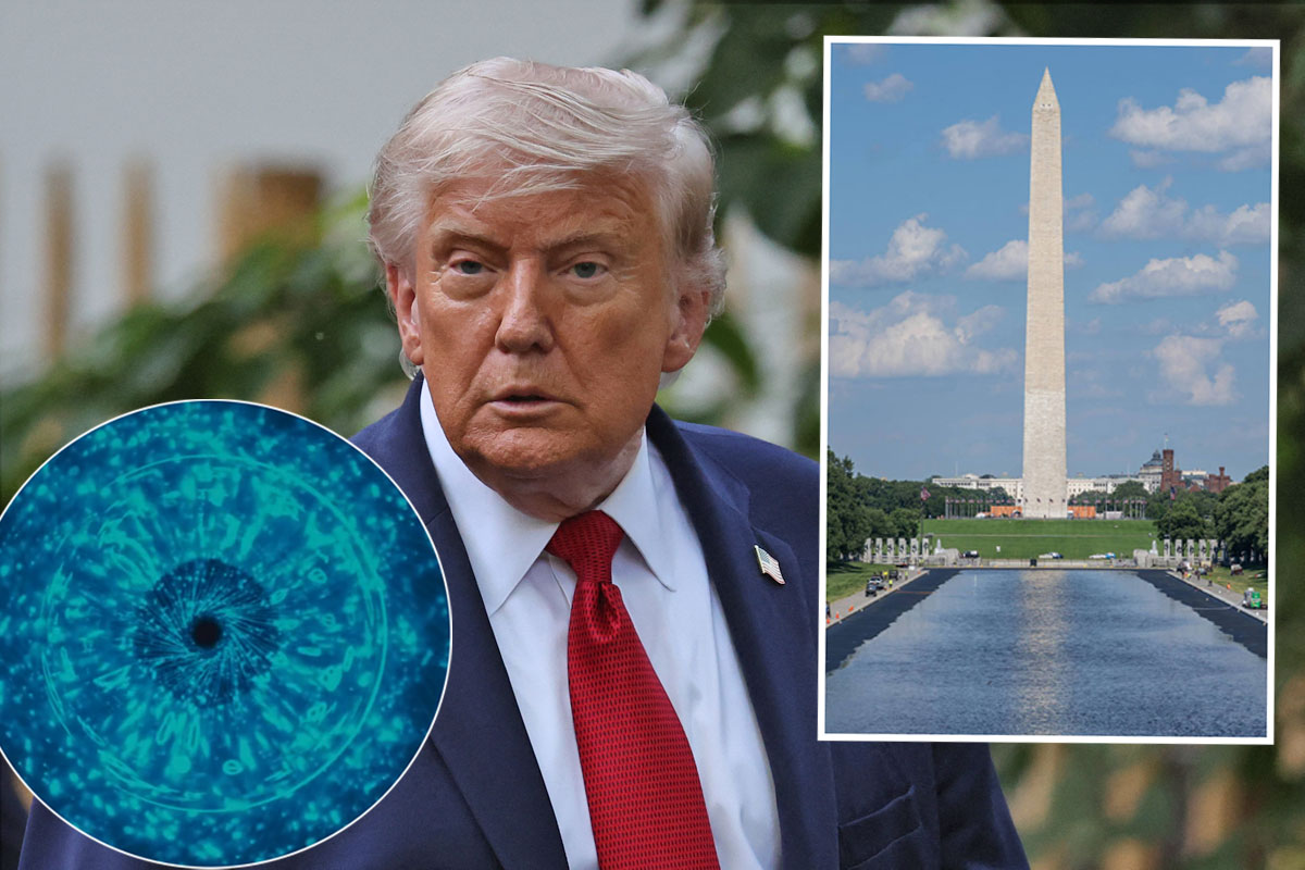 Trump Sets Up AI Surveillance Cameras Outside Reflecting Pool Amid Botched Paint Job Controversy! Trump Sets Up AI Surveillance Cameras Outside Reflecting Pool Amid Botched Paint Job Controversy!