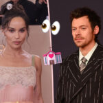 NEW DETAILS: Harry Styles & Zoë Kravitz Now Eyeing THIS American City For Wedding!