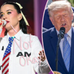 Katy Perry 'Deeply Appalled And Angry' After White House Uses Her Song Firework In Military Bombing Video Without Her Permission