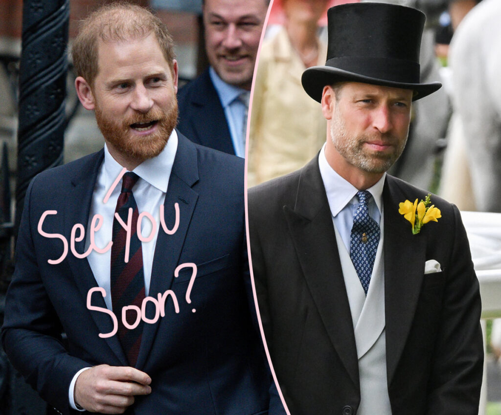 Will Prince Harry Meet With Brother William During Upcoming UK Visit? An Update On Their Messy Feud...
