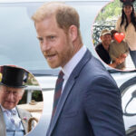 Prince Harry Has THIS To Say About King Charles, Meghan Markle, & His Kids After Their Family Reunion!