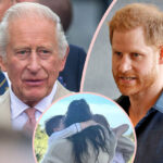 How King Charles Made Sure Details Of Prince Harry Reunion Stayed TOP SECRET -- And The Rules They Implemented To Keep The Peace!