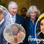 Inside Prince Harry's Family Reunion With King Charles -- And What Left Meghan Markle So 'Humiliated'!