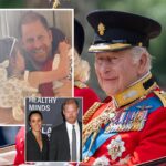 King Charles Hosts Prince Harry, Meghan Markle & Their Kids In Private Reunion -- Details!