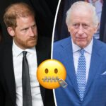 Covering All His Bases?! King Charles Subtly Did THIS For Private Prince Harry Meeting!