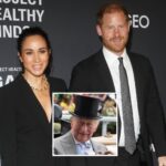 Prince Harry & Meghan Markle's Royal Reunion Wasn't So Smooth -- Here's Why!