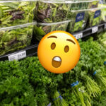 Not Just Lettuce! TWO New Sources Identified In Explosive Diarrhea Outbreak!