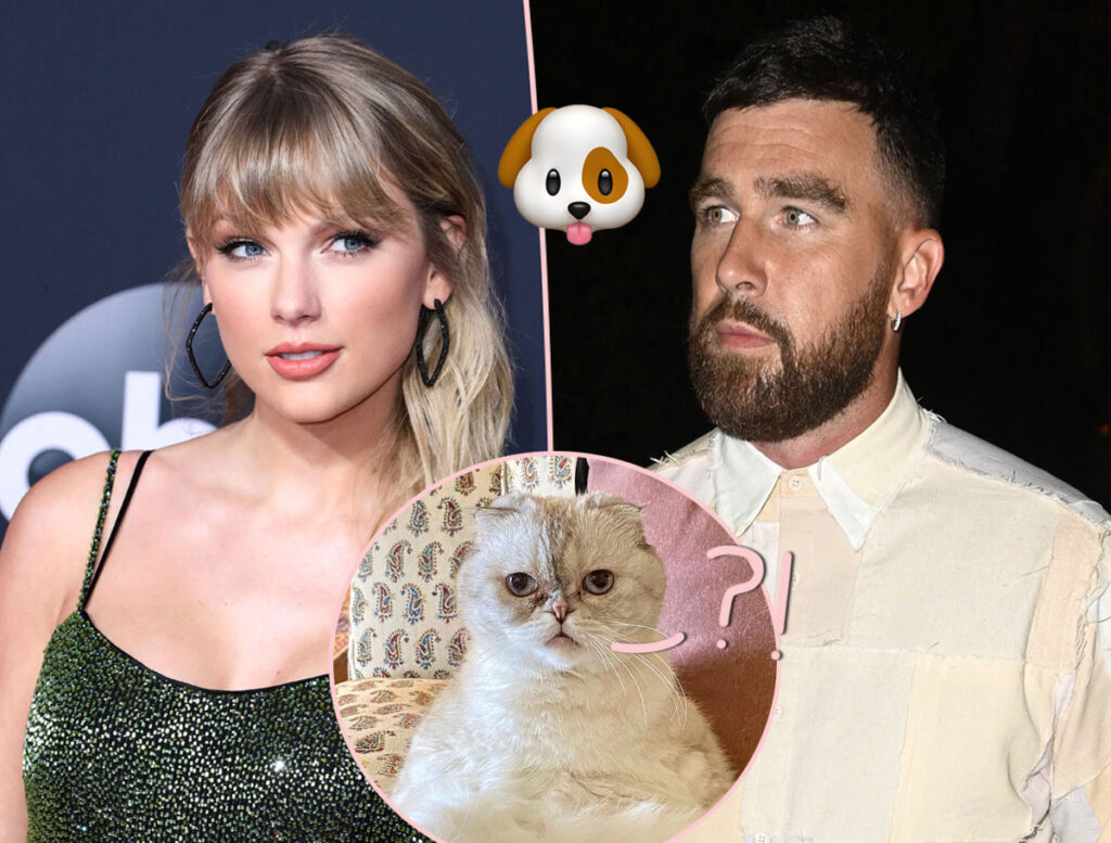 Fans FREAK OUT Over Reveal Taylor Swift & Travis Kelce Might Have A Dog!