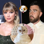 Fans FREAK OUT Over Reveal Taylor Swift & Travis Kelce Might Have A Dog!