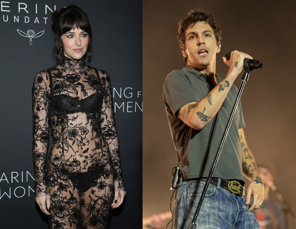 Bummer! Dakota Johnson & Role Model Broke Up!