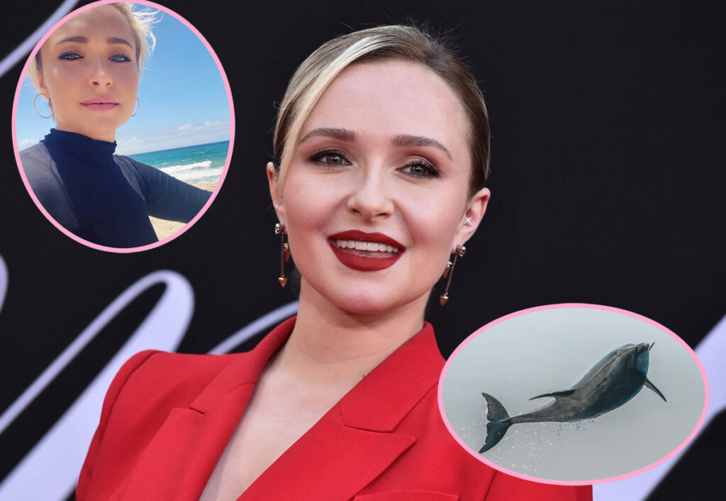 Hayden Panettiere's Powerful New PETA Video Goes Viral After Her Tragic Death -- Watch Her Important Message About Captive Dolphins