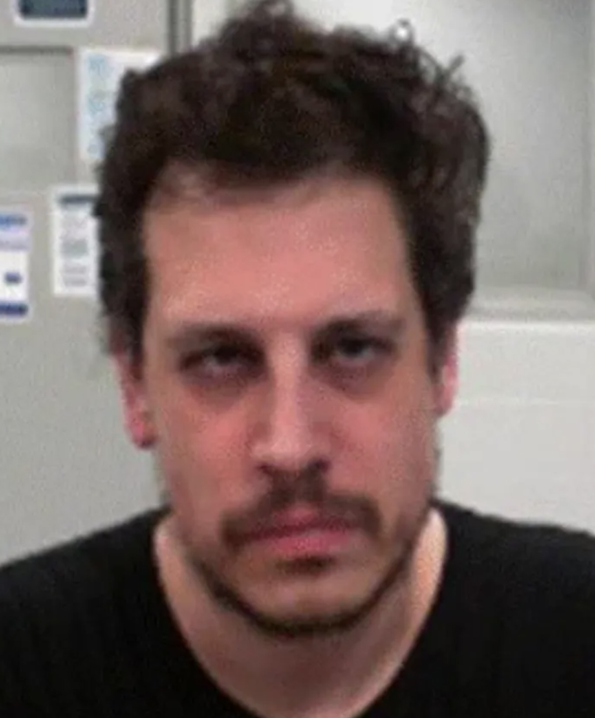 Milo Yiannopoulos detained by ICE