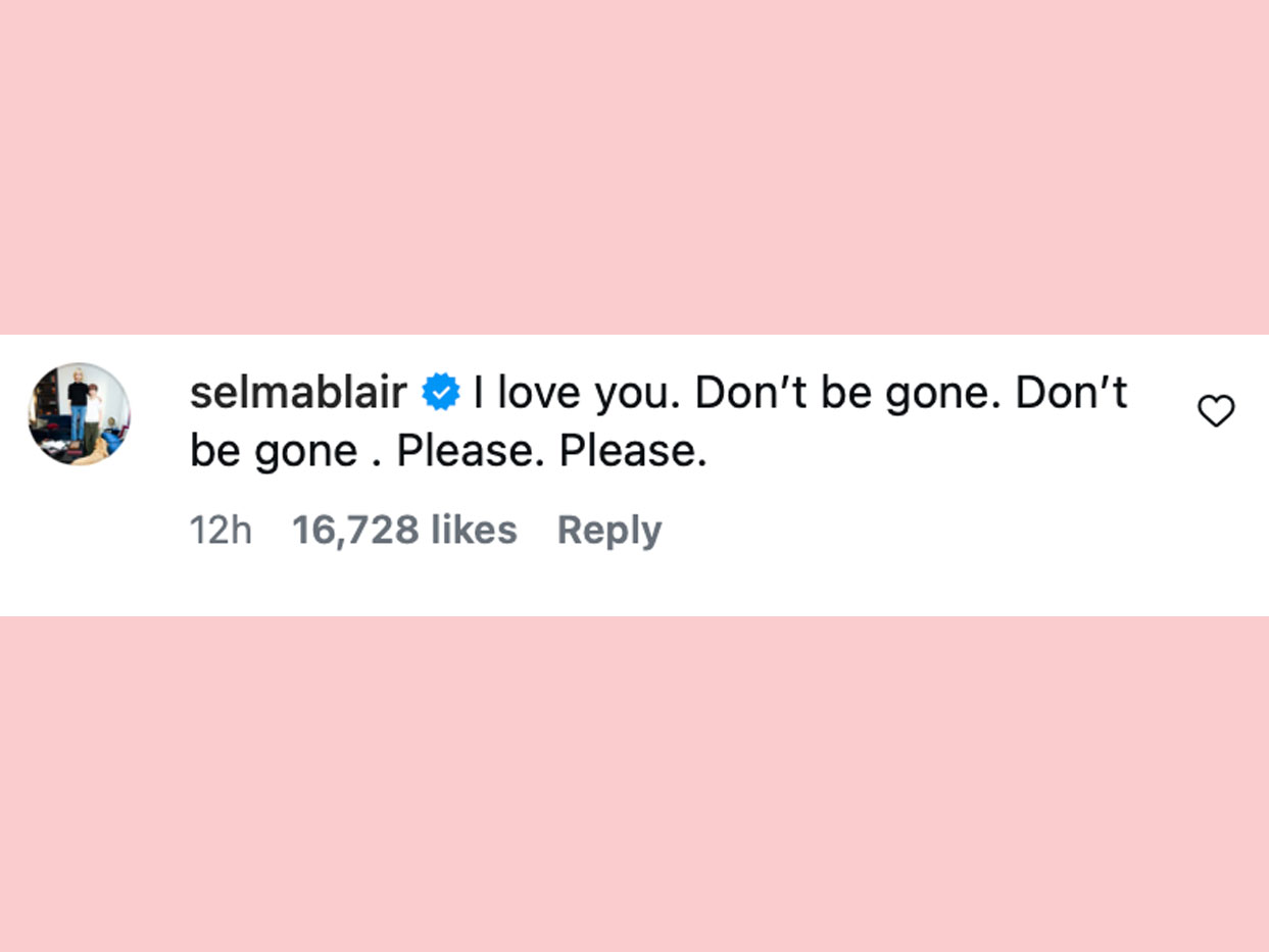 Selma Blair Hayden Panettiere comment