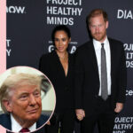 How Trump Responded When Asked About Prince Harry & Meghan Markle Leaving The US: 'Not A Fan'
