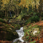 Blind Item: Going Off The Grid